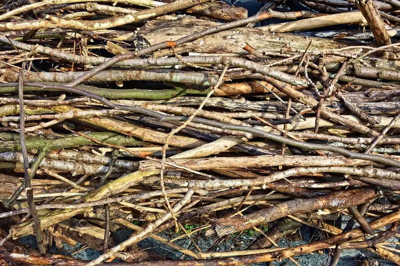A stack of branches.